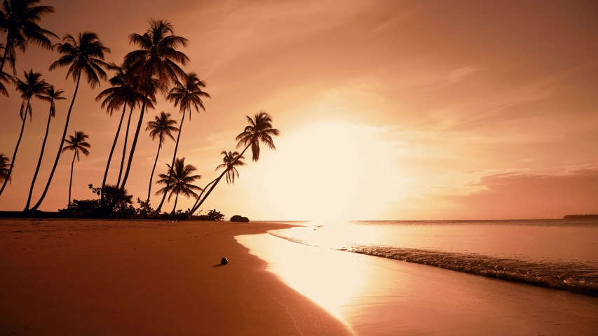 Natural dawn over the sea video 4K. Tropical dawn beach landscape. Yellow sun dawn and sea waves on sand. Palm trees beach background Nature dawn in sky island beach 