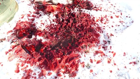 blood clots melt the snow and shimmer in the sun