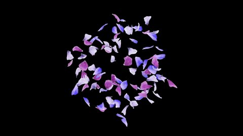 3D animation of a flower petals flow with alpha layer