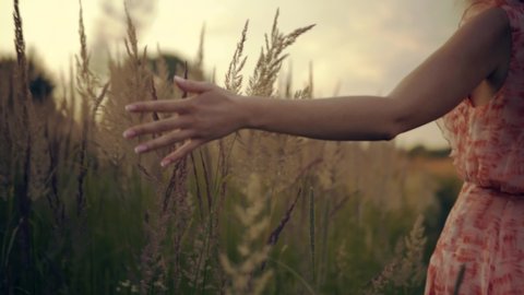 Hand Touches Wild Grass.Enjoying Nature At Holidays Weekend.Hands Touches Flowers On Nature.Girl On Meadow.Leisure Vacation.Girl Relax On Holidays Morning Vacation.Happy Woman Walking On Summer Field.