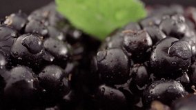 Organic Blackberries in Slow Motion 4k