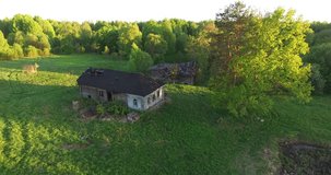 4K high quality early summer sunny afternoon aerial video footage of abandoned village site with ruins of houses and church in the middle of dense green wild woods in Russia's Yaroslavl region