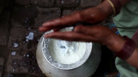 Indian women extracting butter from the milk.