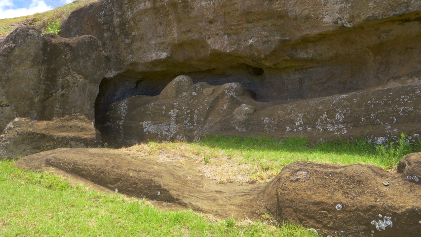 CLOSE UP: Ancient volcanic sculpture with a human face is left lying in the grass. Close up shot of a legendary moai statue left unerected on Easter Island. Mysterious statue with human features.