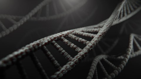 Abstract DNA double helix molecule with depth of field. Animation of rotation DNA. Science animation. Genom futuristic footage. Conceptual design of genetics information. 4k UHD