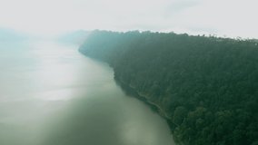 Aerial video; Drone view of lush jungle and a foggy lake.
