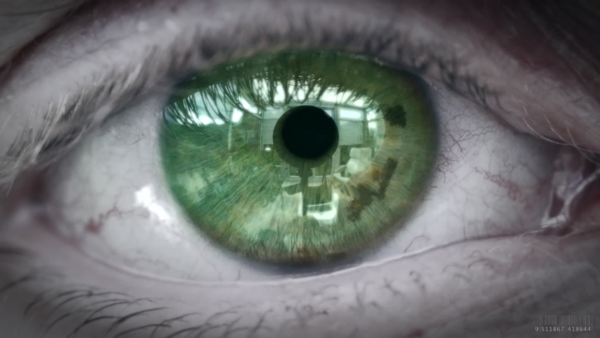 Close up of an eye focusing on an Interview concept on a futuristic screen. Royalty-Free Stock Footage #1032037712