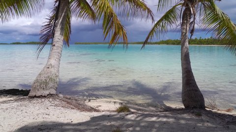 Tropical Beach on a Remote Motu Island in Rangiroa Atoll, French Polynesia