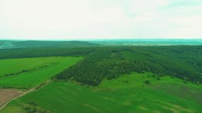 Top view of vivid green fields. Top view video from drone. Village enlaced by picturesque landscape. Copy space. 4K.