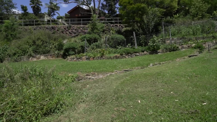 a wide angle view from outside of the backyard
