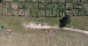 Top Down Aerial View Of Food Garden Plots Of Land Of Organic Fruits And Vegetables Drone Shot