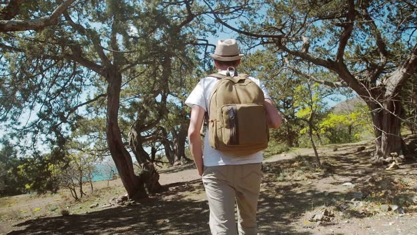 Hiker man observing the green valley. Man hiking in the forest, spring or summer season. Man discover nature and inner world, thinking about life. Beautiful trees landscape