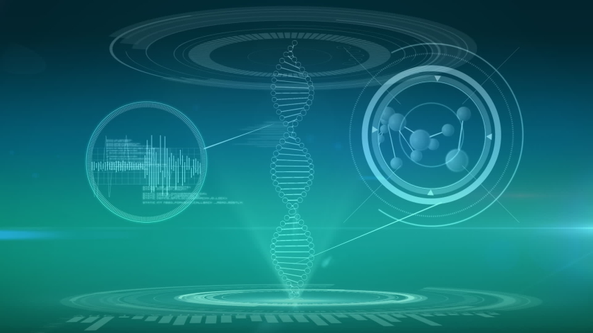 DNA double helix with heart ECG, molecule model, and program codes Digital animation of a DNA double helix rotating in the middle of two digital circles while a heart ECG and molecule model inside a - Powered by Shutterstock - Get 15% off with code: PIKWIZARD15