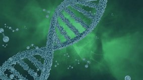 Digital animation of DNA double helix made of molecule model rotating and digital folder with DNA double helix, digital human, and human profile walking. Molecule models move in the green background. - Powered by Shutterstock - Get 15% off with code: PIKWIZARD15