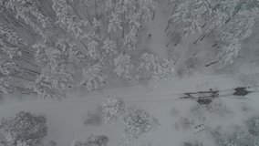 Stock 4k video footage from the air over a snowy pine forest. Aerial view. Winter in the forest. A beautiful flight over the tops of snow-covered trees. Top view