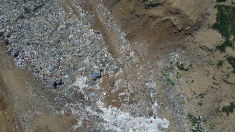 Aerial view of City garbage Dump. Gulls Feeding on Food Waste. Large garbage pile at sorting site.