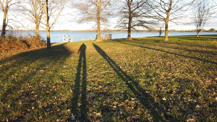 shadows in the park .