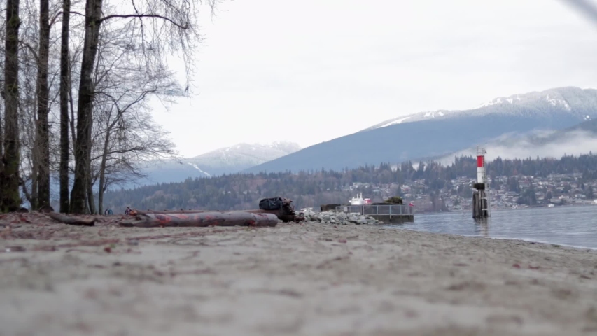 Various slow motion and regular speed shots of a small, black, mixed-breed dog wearing a light blue harness and playing on a sandy beach on a nice winter day in Vancouver, British Columbia, Canada.