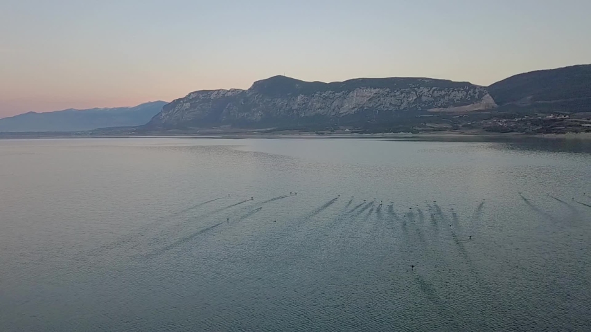 Forward drone shot over a lake following the ducks as they fly. Drone flight in slow motion. Location: Greece