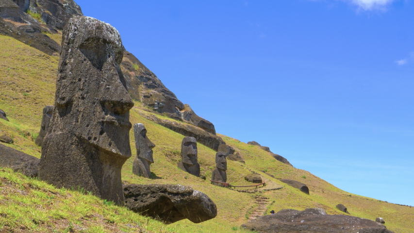 AERIAL: Unrecognizable tourist walks along a trail running past mysterious moai statues. Traveler explores the scenic sights of old volcanic island full of fascinating human face shaped sculptures.