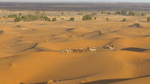 Camel trekking in Erg Chebbi desert 