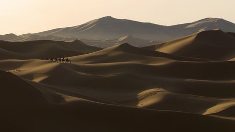 Camel trekking in Erg Chebbi desert 
