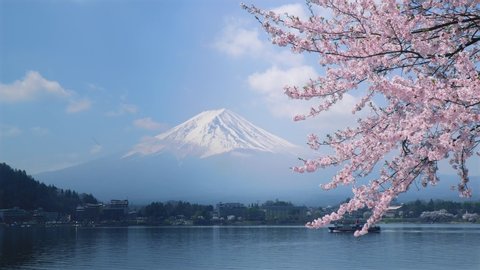 Mt. Fuji and cherry blossoms. Japanese spring landscape looking over the lake Kawaguchi at Yamanashi pref in Japan.
