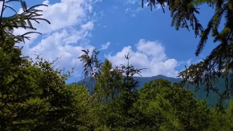 Green nature with sky and mountain