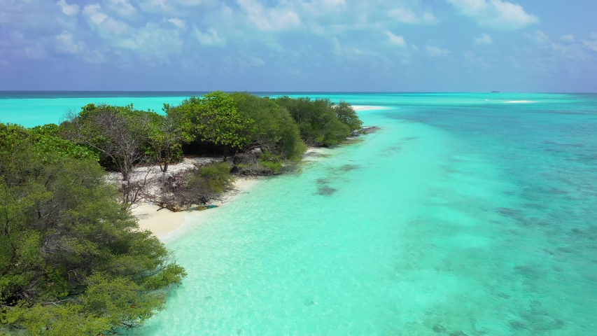 crystal clear caribbean sea with white sand island and Bursera simaruba trees commonly known as gumbo-limbo, copperwood, chaca, and turpentine tree aerial drone shot