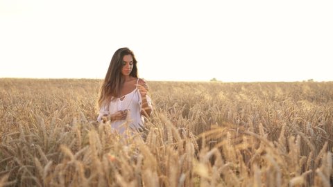 Young romantic woman is dreamily playing with wheat ear in the golden field