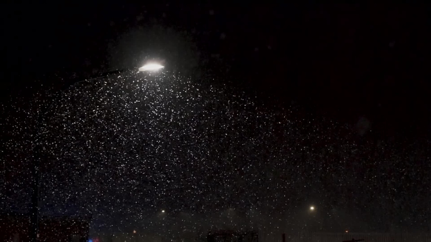 Snow falling in slow motion at 120 fps at night in front of a city street light | Shutterstock HD Video #1032229223