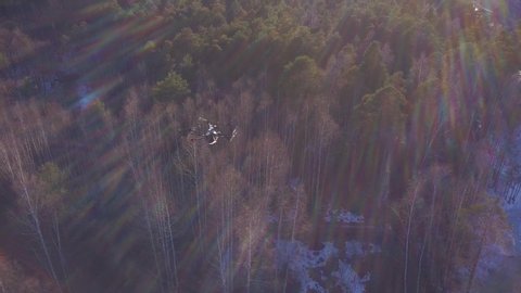 Close-up of black drone flying above the trees and little patches of land in snow shooting the video of forest landscape in sunny day. 
