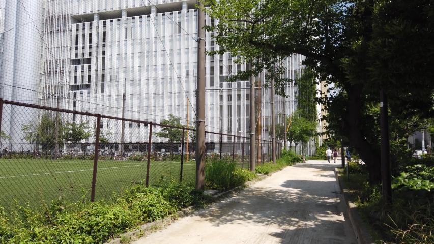Park in Japan, Tokyo Landscape