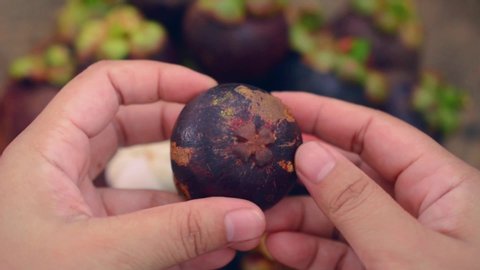 How to eat mangosteen : press firmly on shell then push into bottom part and peel it off for inner white flesh seed. Mangosteens are a delicious treat often referred to as the “Queen of Fruit".