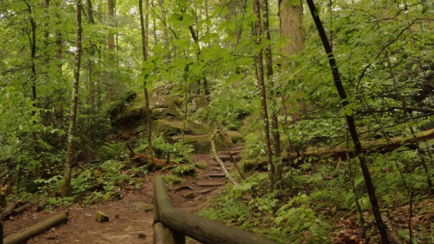 Nature Hike at Natural Bridge State Park, Kentucky
