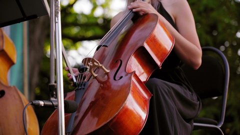 Attractive woman in a black dress sits on chair with cello. Beautiful girl perform in ensemble of street musicians in open air at sunset close up. Symphony orchestra performing in park at summer.