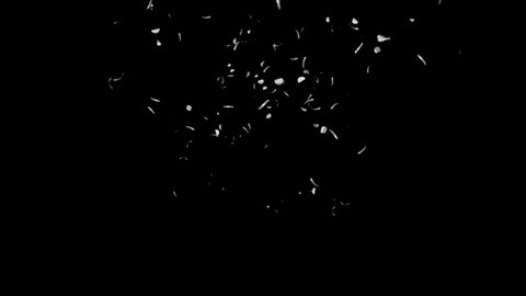 Silver Confetti / High Quality 1920×1080 Full HD With Alpha Matte Channel