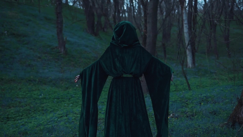 dark gothic shot mystical lady in  long green emerald cloak cape, woman witch walks in night dusk forest conjures, girl mystic hood. Back rear view, fantasy vintage silhouette no face creative video Royalty-Free Stock Footage #1032279278