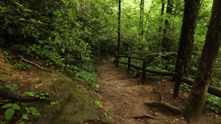 Nature Hike at Natural Bridge State Park, Kentucky