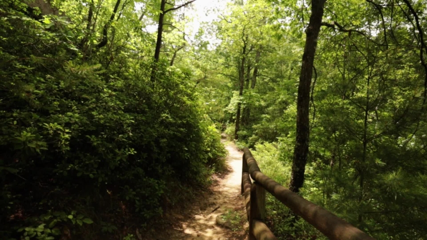 Nature Hike at Natural Bridge State Park, Kentucky