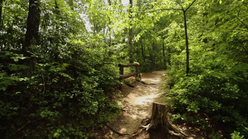 Nature Hike at Natural Bridge State Park, Kentucky