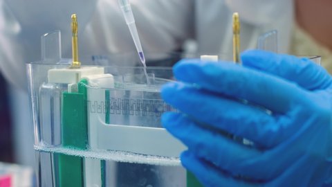 A scientist uses a thin pipette to place samples with DNA fragments on an agarose gel to separate DNA fragments.