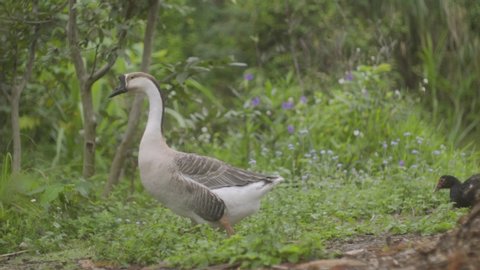 14 Foot behind the head pose Stock Video Footage - 4K and HD Video ...