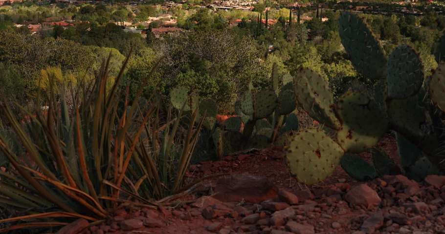 Capitol Butte and Coffee Pot Rock formation as seen from Airport Mesa over the town of Sedona Arizona USA