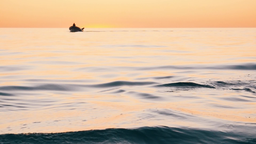 Two orcas comming up to breath with small boat behind at sunset slowmotion | Shutterstock HD Video #1032340382