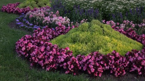 Landscape design with flowers composition in the city greenery. Floral ornamental plantation.