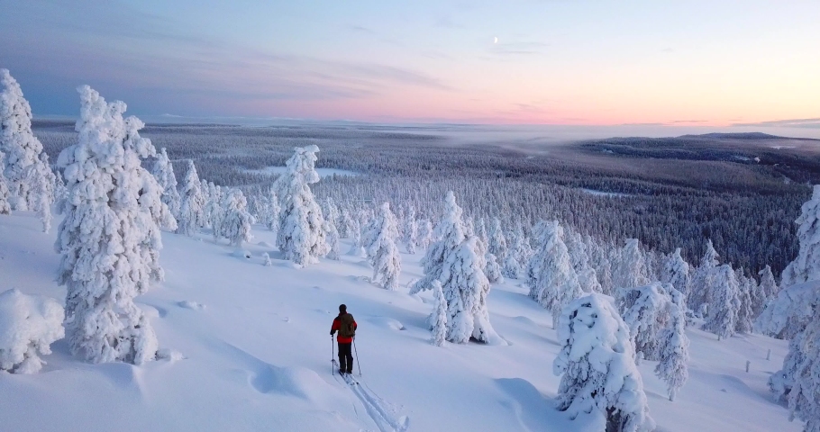 Aerial, drone shot, following a man cross country skiing, between snow covered, tykkylumi trees, on a tunturi mountain, colorful dusk, on a winter day, polar night, in Salla, Lapland, Finland
