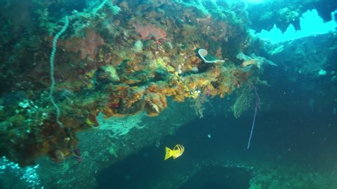 Wreck inside view underwater in Truk Lagoon on Chuuk Islands. Shipwreck in historic place of terrible tragedy of WW II and diver among wreckage of ship.