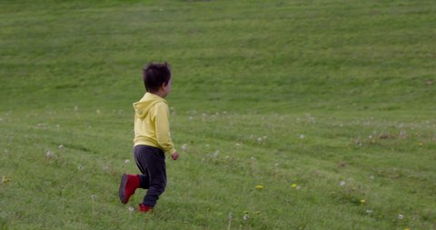 Toddler boy running down grassy hill into dandelions - slow motion