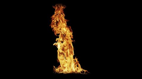 Fire Flames Igniting And Burning - Slow Motion. A line of real flames ignite on a black background. Real fire. Transparent background. PNG + Alpha.Visit my profile for other VFX